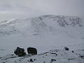 Norway 060